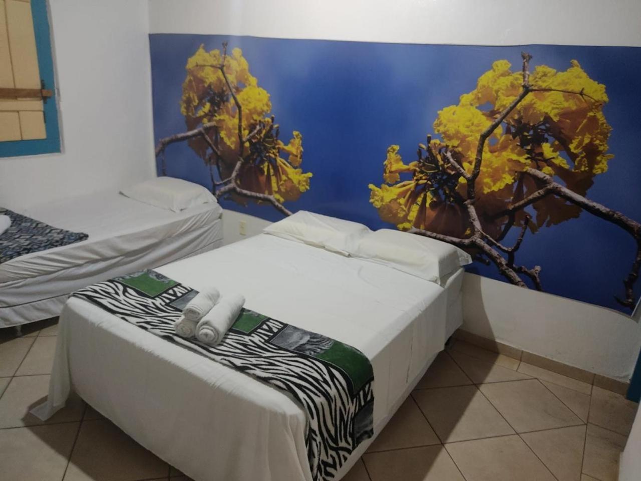 Pousada Colonial Pirenópolis 外观 照片